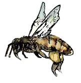 mehku – kopio_edited_edited_edited.png