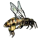 mehku – kopio_edited_edited.png